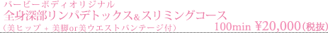 全身深部リンパデトックス＆スリミングコース